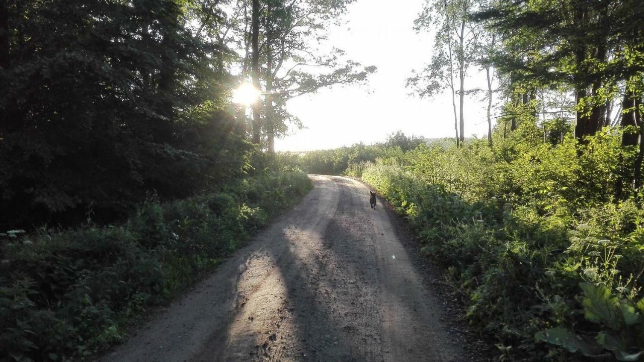 Domek Nad Morzem Mechowo Villa Kültér fotó